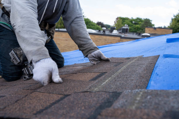 Best Emergency Roof Repair  in Stevenson, WA