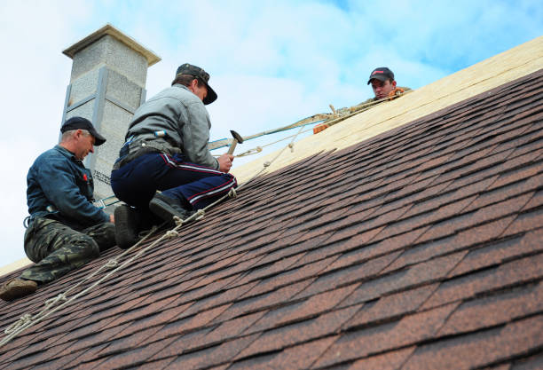 Best New Roof Installation  in Stevenson, WA